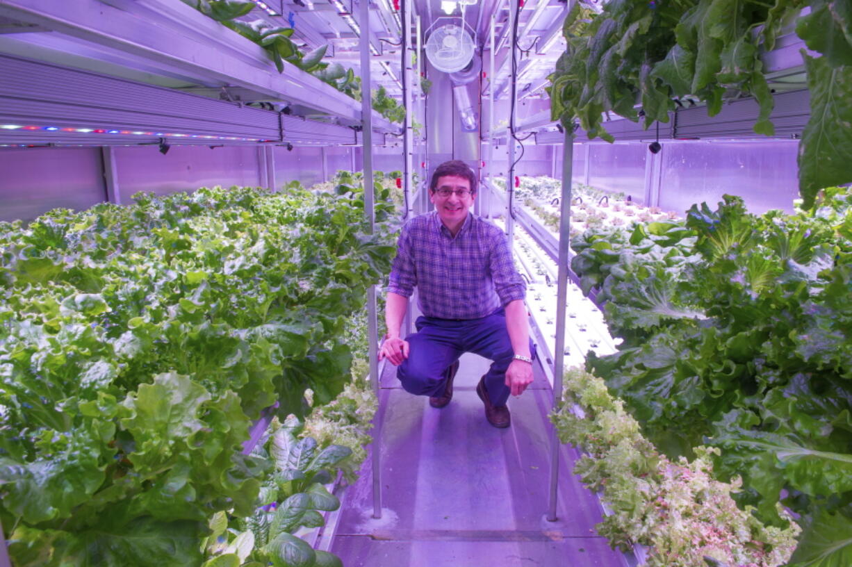 Will Anderson, president of the Native Kikiktagruk Inupiat Corp., stands inside his Native corporation&#039;s new indoor hydroponics farm in Kotzebue, Alaska. The goal of the venture is to grow kale, lettuces and other greens year-round, despite the region&#039;s unforgiving climate.