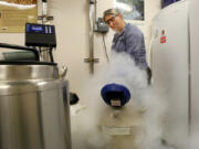 Karen Bauman, cryobiology lab manager, fills the tanks containing frozen semen and egg samples of various zoo animals with liquid nitrogen Nov. 15 at the St. Louis Zoo. The tanks are kept at -320 degrees Fahrenheit. (Photos by J.B. Forbes/St.