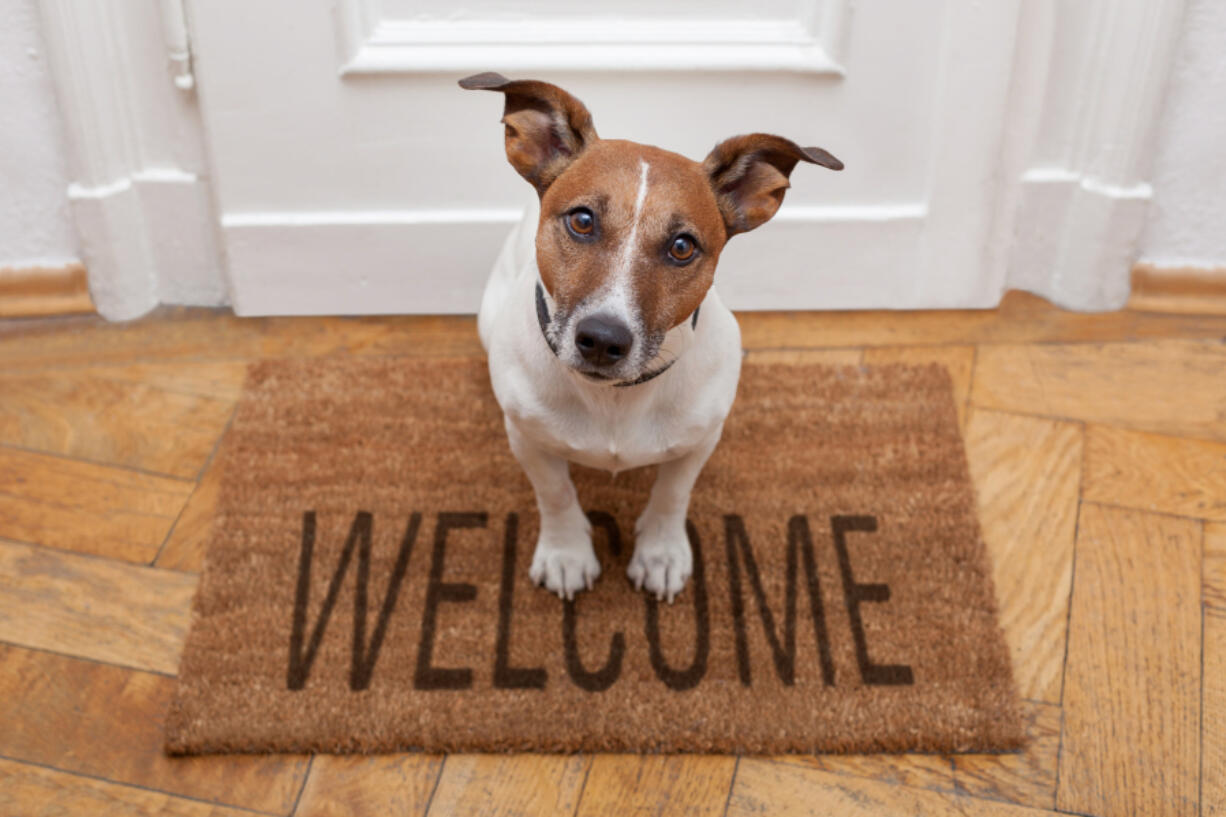 Whether guests are coming to your house or you are taking your pets with you, be mindful of how a dog will interact with others.