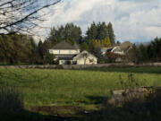 Homes are seen beyond a field in Ridgefield on Dec. 6.  Nearby homeowners are entangled in a legal drama between a developer, homeowners&#039; association and the city of Ridgefield about what can be done with the vacant property.