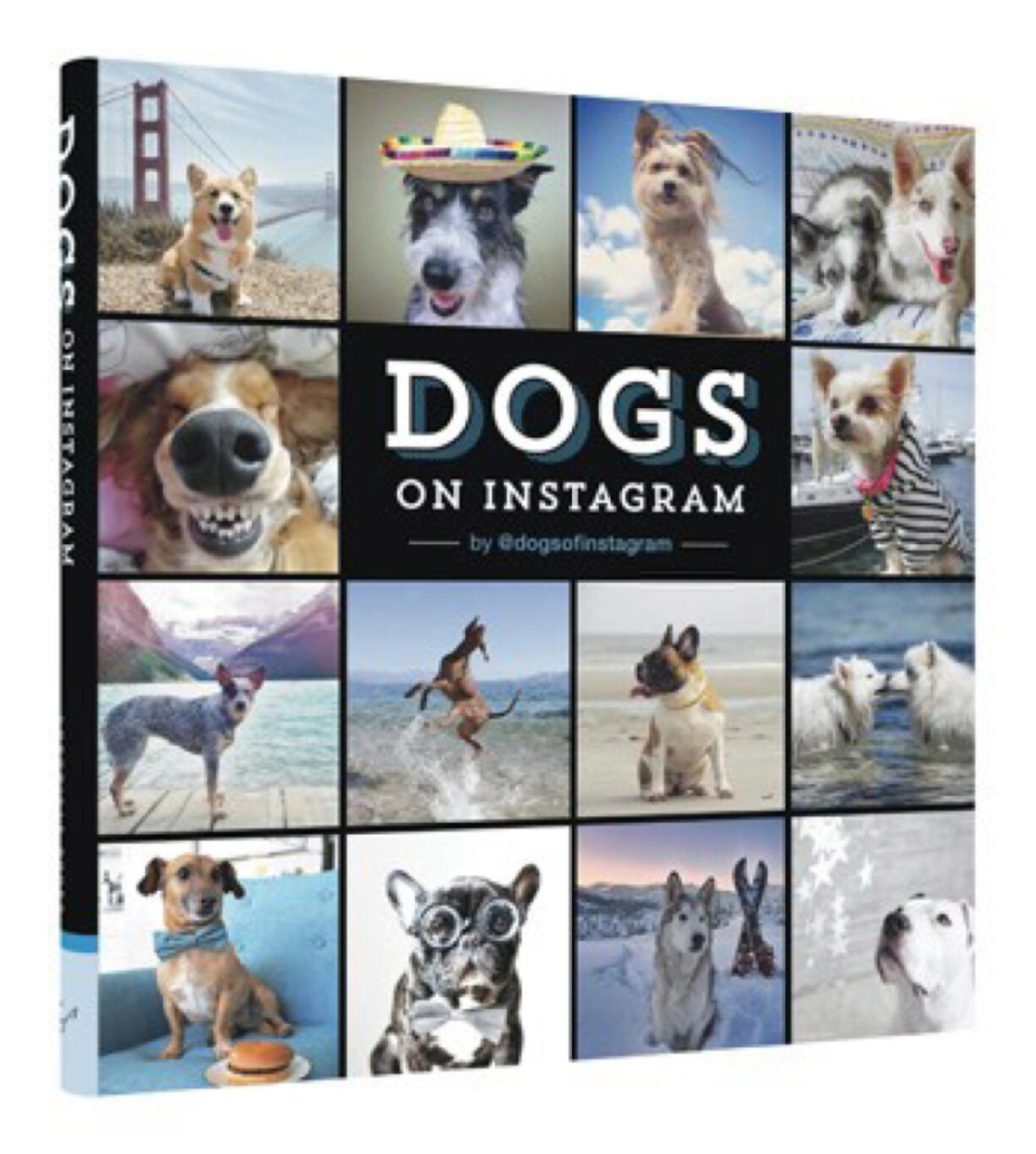 &quot;Dogs on Instagram&quot; by Eli Omidi; Chronicle Books, ($16.95) (Chronicle Books)