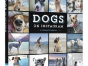 &quot;Dogs on Instagram&quot; by Eli Omidi; Chronicle Books, ($16.95) (Chronicle Books)