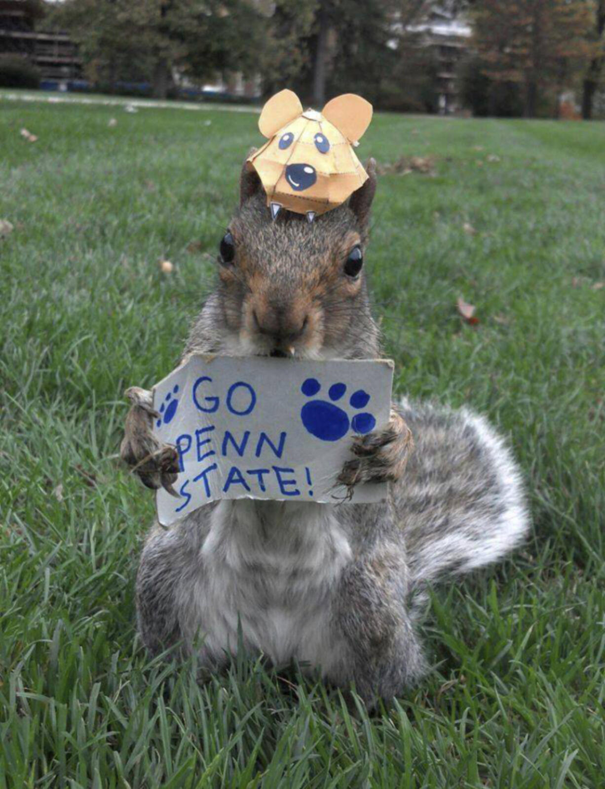 Sneezy, a squirrel that lives on the Penn State campus, holds a &quot;Go Penn State&quot; sign.