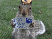 Sneezy, a squirrel that lives on the Penn State campus, holds a &quot;Go Penn State&quot; sign.