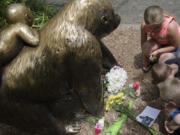 Children pause at the feet of a gorilla statue where flowers and a sympathy card have been placed, outside the Gorilla World exhibit at the Cincinnati Zoo &amp; Botanical Garden, Sunday, May 29, 2016, in Cincinnati. On Saturday, a special zoo response team shot and killed Harambe, a 17-year-old gorilla, that grabbed and dragged a 4-year-old boy who fell into the gorilla exhibit moat. Authorities said the boy is expected to recover. He was taken to Cincinnati Children&#039;s Hospital Medical Center.