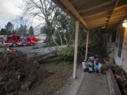 Elijah Deere, 10, left, and his sister, Aliyah Deere, 3, look over a tree that fell in the front yard of their house along Northeast 11th Street on Thursday morning, Dec. 8, 2016.