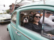 Susan Schrantz takes part in "Cruisin' the Gut" with her family in a VW Bug on Main Street in downtown Vancouver in 2016.