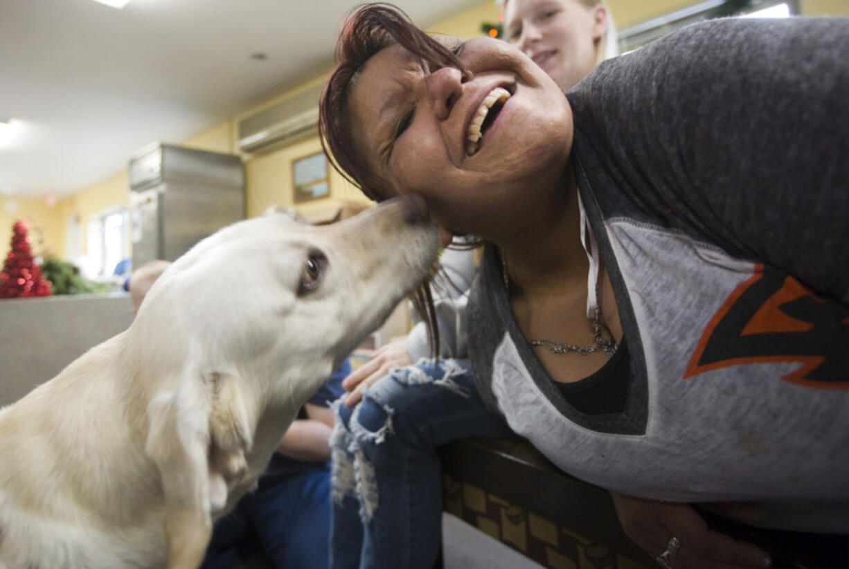 Enelida Acevedo gets a lick from Limon, a therapy dog at Share&#039;s family shelter in Hazel Dell on Saturday. DoveLewis&#039; therapy dogs are visiting the shelter to provide emotional support and comfort during the holidays, which are especially hard on homeless families.