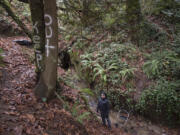 A warning message is spray-painted on trees at the spot of a former homeless encampment at Arnold Park as Vancouver resident Peter Bracchi looks on Dec. 2.