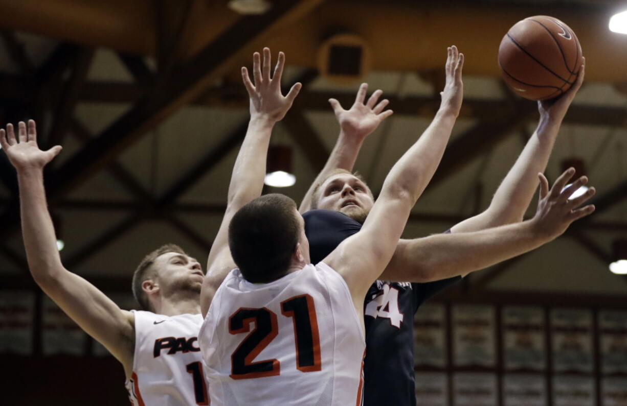 Gonzaga center Przemek Karnowski, right, drives to the basket as Pacific forwards Jack Williams, left, and Jacob Lampkin (21) defend during the first half of an NCAA college basketball game Saturday, Dec. 31, 2016, in Stockton , Calif.