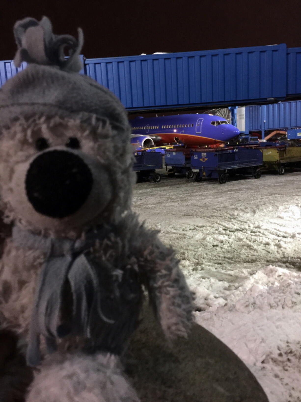 This photo provided by Steven J. Laudeman shows a stuffed bear named Teddy that Eleanor Dewald, 8, lost lost flying from Dallas to Detroit Metropolitan Airport. Steven Laudeman, a Southwest Airlines ramp agent, learned through social of the lost bear, retraced Eleanor's steps before his shift began Thursday and found the bear. He then took Teddy on an adventure "photographed for posterity" into a plane's cockpit and service vehicle. (Steven J.