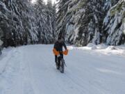 Road No. 83 leading east from Marble Mountain Sno-Park on the south side of Mount St. Helens doubles as a route for fat-tire cycling enthusiasts.