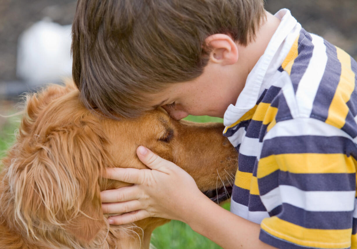 Interacting with animals helps children&#039;s empathy.