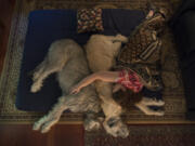 Denise Harris takes an afternoon nap with her Irish Wolfhounds, Fearghus, left, and Carrik, right, in Columbia, Maryland. When Harris is feeling ill, she likes to take a nap with her canine companions on the family room floor. MUST CREDIT: Washington Post photo by Linda Davidson.