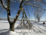 Richard Parrott of Vancouver walks past a tree with a damaged branch while visiting Vancouver Lake in the snow Thursday morning.