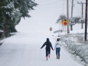 Carty Road in Ridgefield was covered with snow after a winter storm moved through Clark County on Dec. 17, 2008.