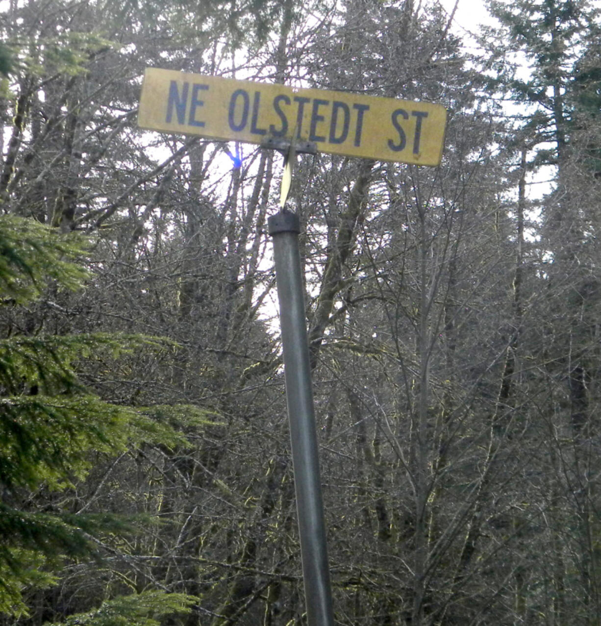 Northeast Olstedt Road (some county documents and signs refer to it as a &quot;street&quot;) is at the center of a lawsuit filed against Clark County. The suit accuses the county of not properly recognizing the country lane as a public road.