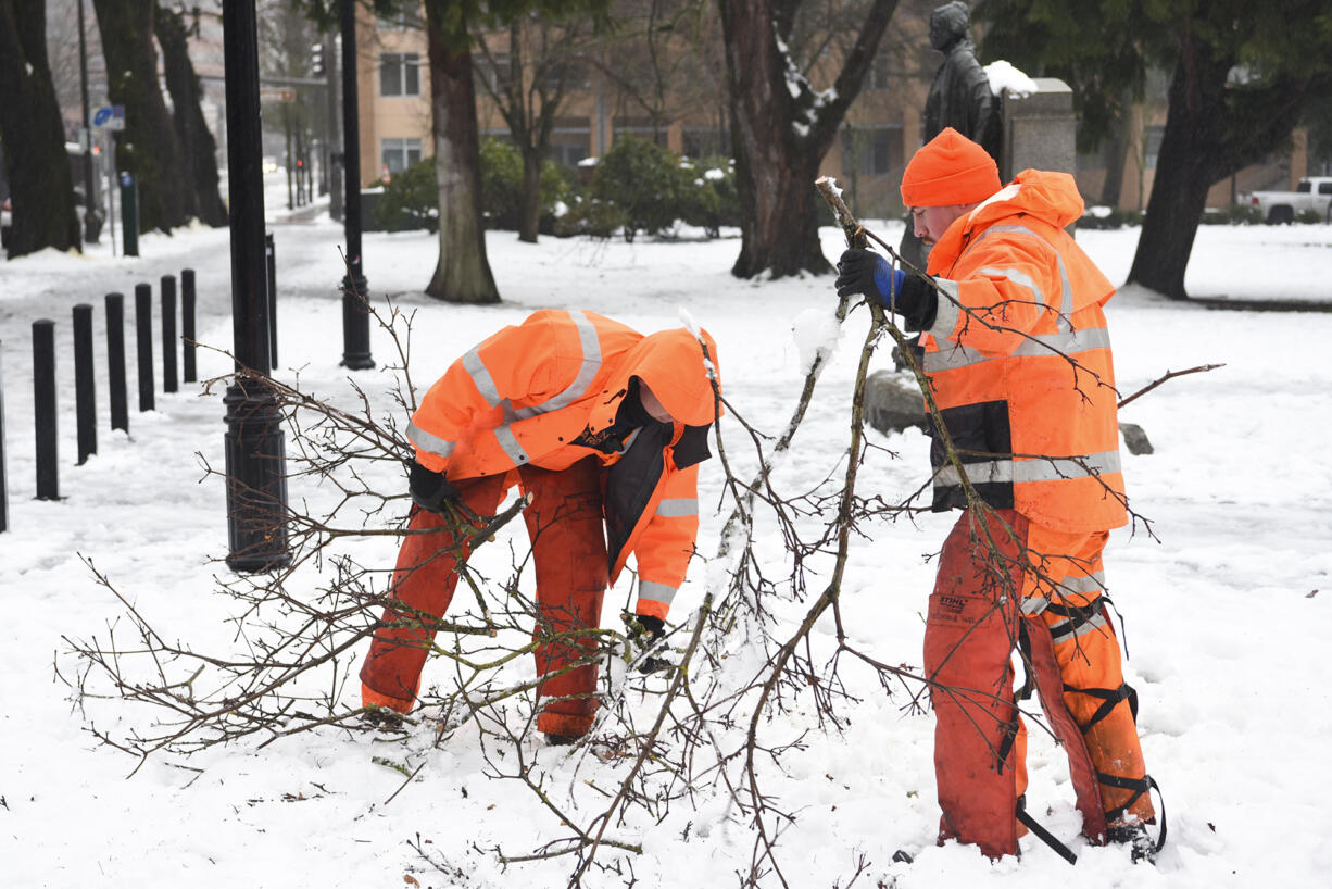 Conner Agar, left, and Mike McDonald, with the Vancouver Department of Public Works grounds division, pick up fallen tree branches in Esther Short Park on Wednesday.