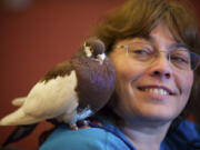 Joy Murphy of Grants Pass, Ore., looks over at her Russian startail tumbler, Jasper, during the National Pigeon Association 2013 Grand National Show.