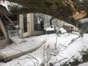 A family of four escaped their Salmon Creek house after half of an oak tree fell onto their living room.