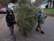 Cub Scouts Dylan Vernon, left, and Ethan Sanders, both 8 years old, carry one of several Christmas trees they gathered out of Orchards. In exchange for suggested donations, hundreds of Scouts in Clark County collected trees for recycling.