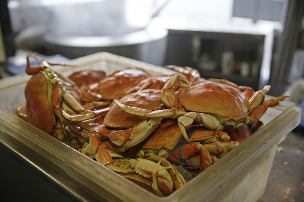 Dungeness crab sit in a bin near a boiler at Fisherman's Wharf Tuesday, Jan. 3, 2017, in San Francisco. Dungeness crab could be harder to come by if fishers from Canada to Northern California continue their strike over the purchase price. The strike started Dec. 28, 2016, after Pacific Choice Seafood in Humboldt County, Calif., offered to pay $2.75 a pound for the tasty crustacean. Crabbers whose seasons had already opened had negotiated a price of $3 per pound.