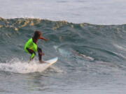 In this photo from Jan. 24, 2017, provided by Chris Hasson, 10-year-old Eden Hasson, Chris&#039; son, surfs near what is believed to be a great white shark at Samurai Beach, Port Stephens, Australia. James Cook University shark researcher Andrew Chin says the photographed shark is possibly a small great white.