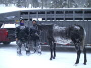 B.J. Hill and his son Heath from Swift Creek Outfitters stand with their horse, Valentine, after rescuing it from a remote area in northwestern Wyoming.  (U.S.