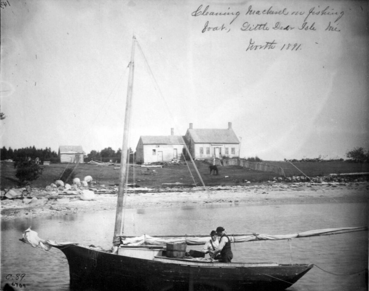 Penobscot Bay fishermen clean mackerel near their saltwater farm off the Maine coast in 1891.