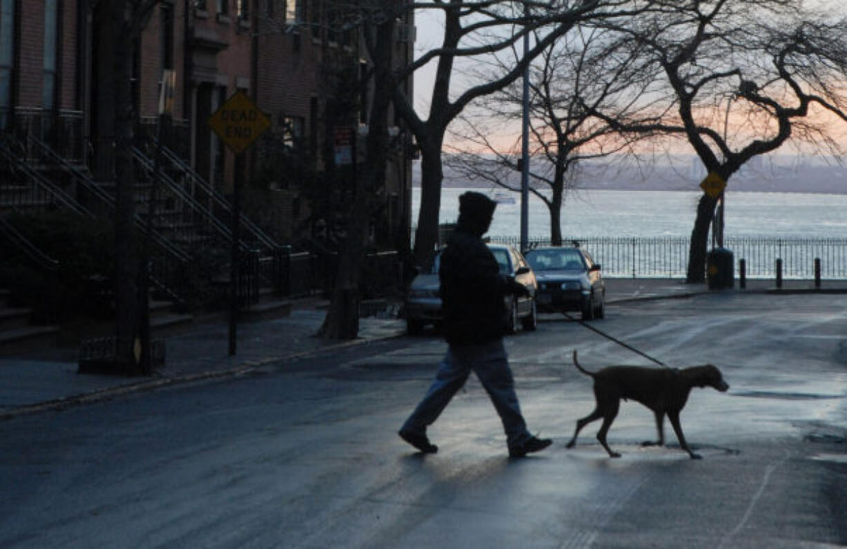 A dog walker in the Brooklyn borough of New York City.