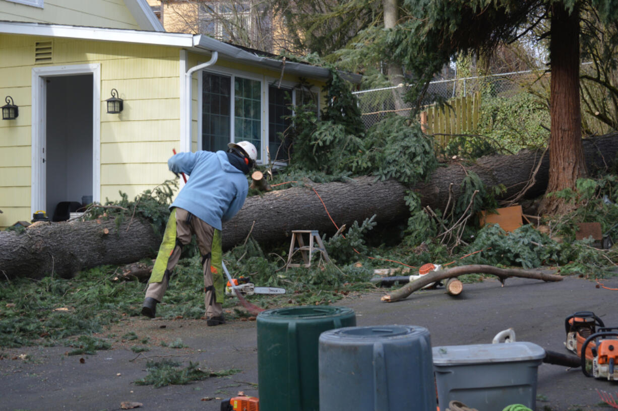 Raul Esparza rakes snapped branches and debris as he cleans up around an uprooted tree Thursday.