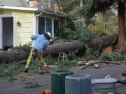 Raul Esparza rakes snapped branches and debris as he cleans up around an uprooted tree Thursday.