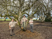 Years from now, three Woodland Eagle Scouts, from left, Will Buttrell, Noah Kuykendall and Angus Moir, expect people will be able to come to this spot in Woodland and pick free fruit or just enjoy the beauty of the community orchard.