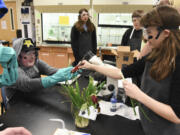 Ryan Bearden, left, hands his classmate Isabella Liddle a pair of scissors during biology glass at Vancouver iTech Preparatory school. Students were looking at the division of onion cells through microscopes.