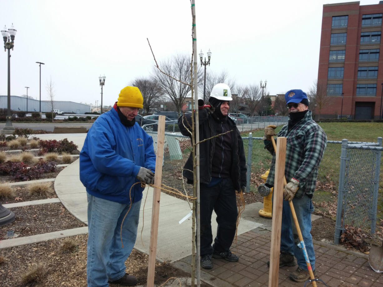 Esther Short: Vancouver Dawn Lions members Bill Karcher, from left, Dan Huckins and Brian Wolfe plant a tree outside Vancouver City Hall.