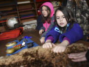 Lillyannah Cook-Forsht, a Washington Connections Academy student, right, feels an animal pelt, while Iris MacMichael waits for a turn.