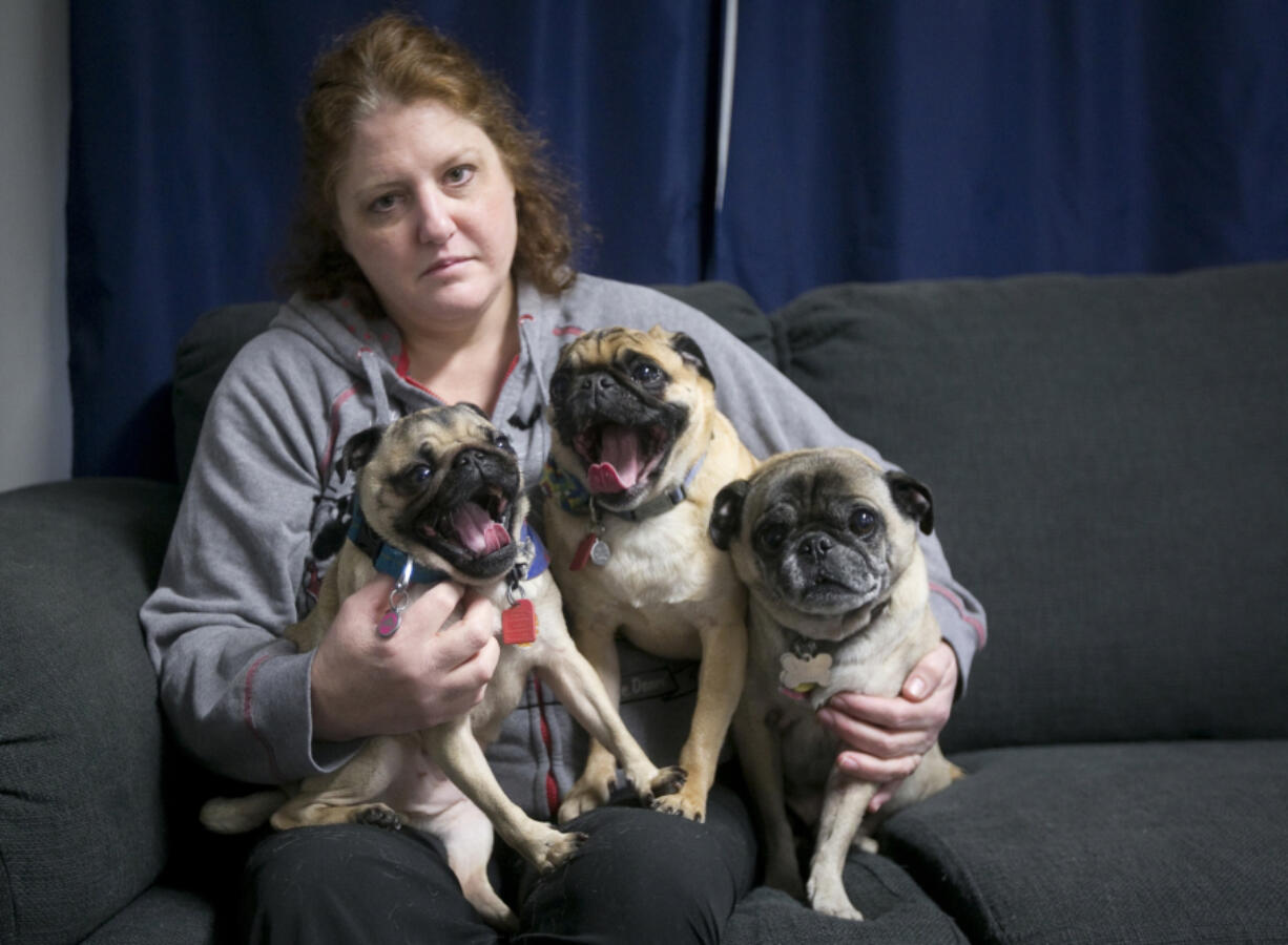 Nikki Mael and her three surviving pugs, from left, Tinkerbell, Tito and Tank, who all lived after eating Evanger&#039;s Hunk of Beef that tested positive for pentobarbital, a drug used in euthanasia, Mael said. Her other dog, Tulala, had to be put down after eating the food.