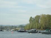 Spring chinook fishing upstream of Interstate 5 will open on March 1 and is projected to continue through April 6.