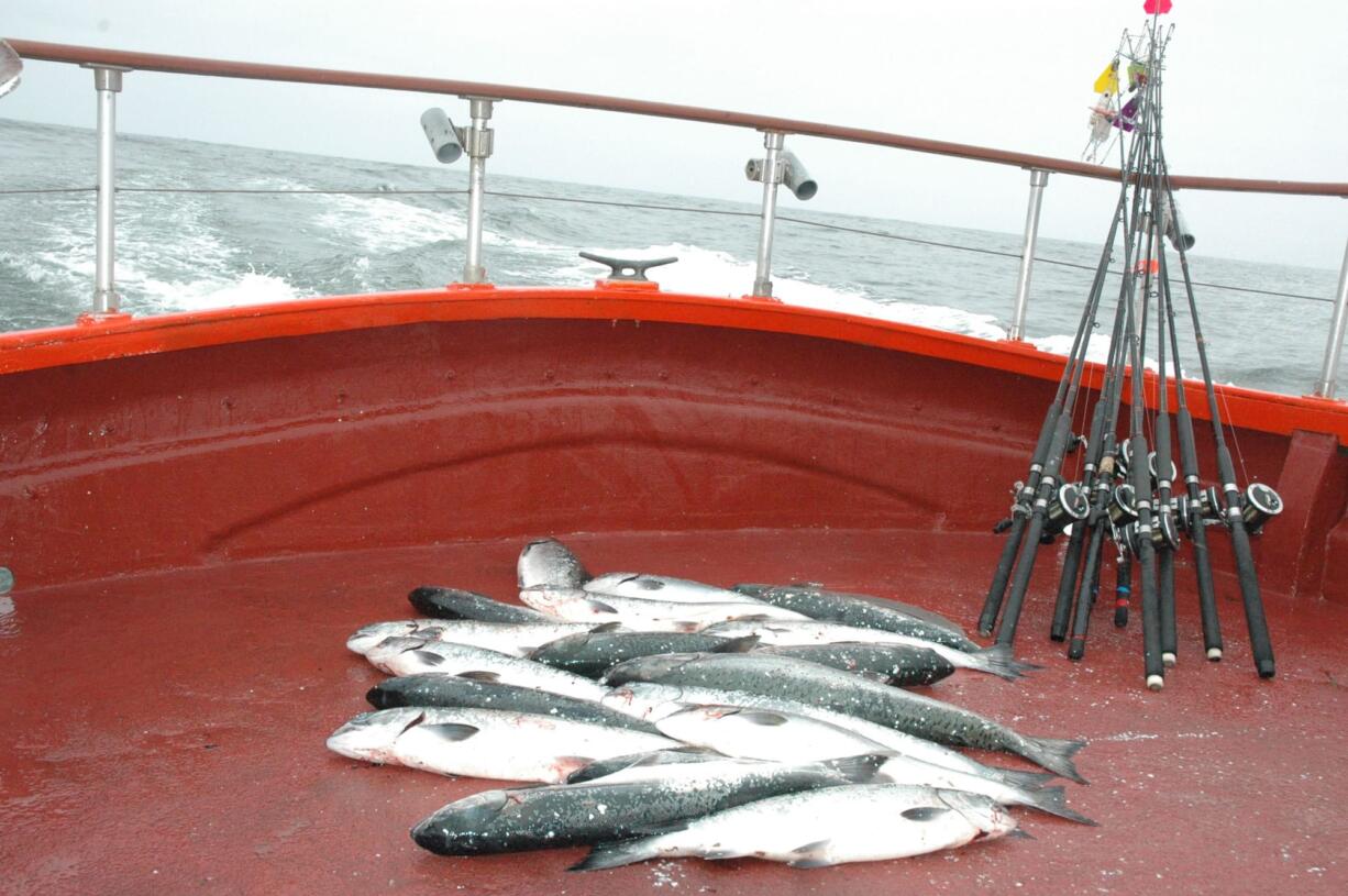 Coho fishing off northern Oregon and Washington was restricted severely in 2016, but officials hope for a somewhat better season in 2017.