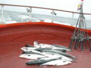 Coho fishing off northern Oregon and Washington was restricted severely in 2016, but officials hope for a somewhat better season in 2017.