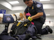 U.S. Customs and Border Patrol agriculture specialist Alberto Gonzalez and his K-9 partner Baymon find a bag of prohibited pieces of cut sugar cane in a duffel bag.