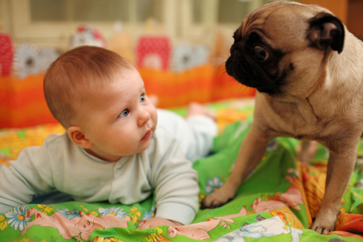 There are resources for couples getting ready to introduce a new baby to their pets.