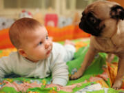 There are resources for couples getting ready to introduce a new baby to their pets.