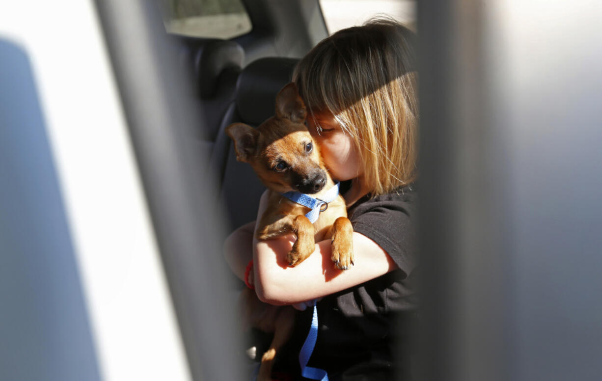 Lacey Diaz, 5, kisses rescued dog Lucky, a 4-month-old Chihuahua mix, on March 8 inside the family&#039;s car at the Carrollton Animal Adoption Center in Carrollton, Texas. (Photos by Jae S.