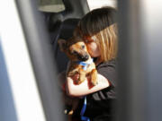 Lacey Diaz, 5, kisses rescued dog Lucky, a 4-month-old Chihuahua mix, on March 8 inside the family&#039;s car at the Carrollton Animal Adoption Center in Carrollton, Texas. (Photos by Jae S.