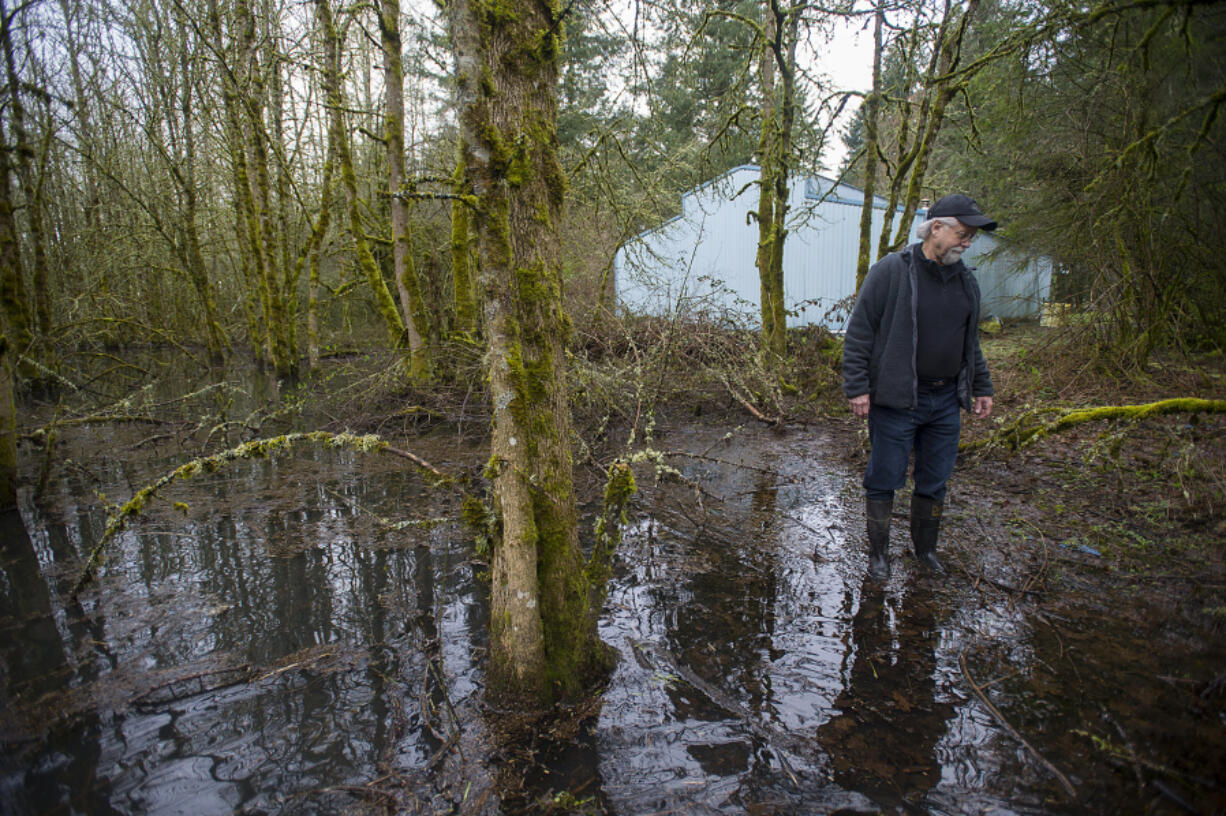 Larry Johns wades through the water that&#039;s built up on his property during the rainy season that he worries will ruin his property.