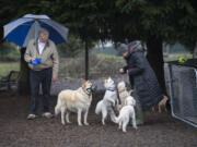 Volunteer park manager Marc Johnson, left, enjoys time with some four-legged friends as Portland resident Inga Wahlander shares treats with the crowd Wednesday afternoon at Ike Park in Hazel Dell.