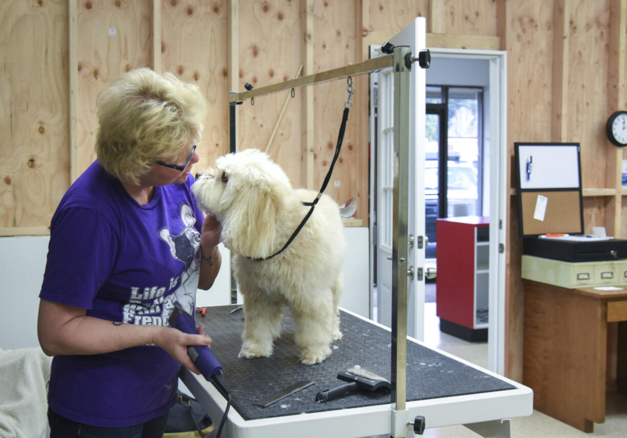 Sue Picchioni, owner of Best Friends Dog Grooming in Vancouver, shared a moment Thursday with one of the dogs she grooms. The business reopened this week after its other location burned in a fire in January.