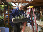 Valerie Alexander, owner of Coyote Ridge Ranch outside of La Center, starts some of her crops in a greenhouse.