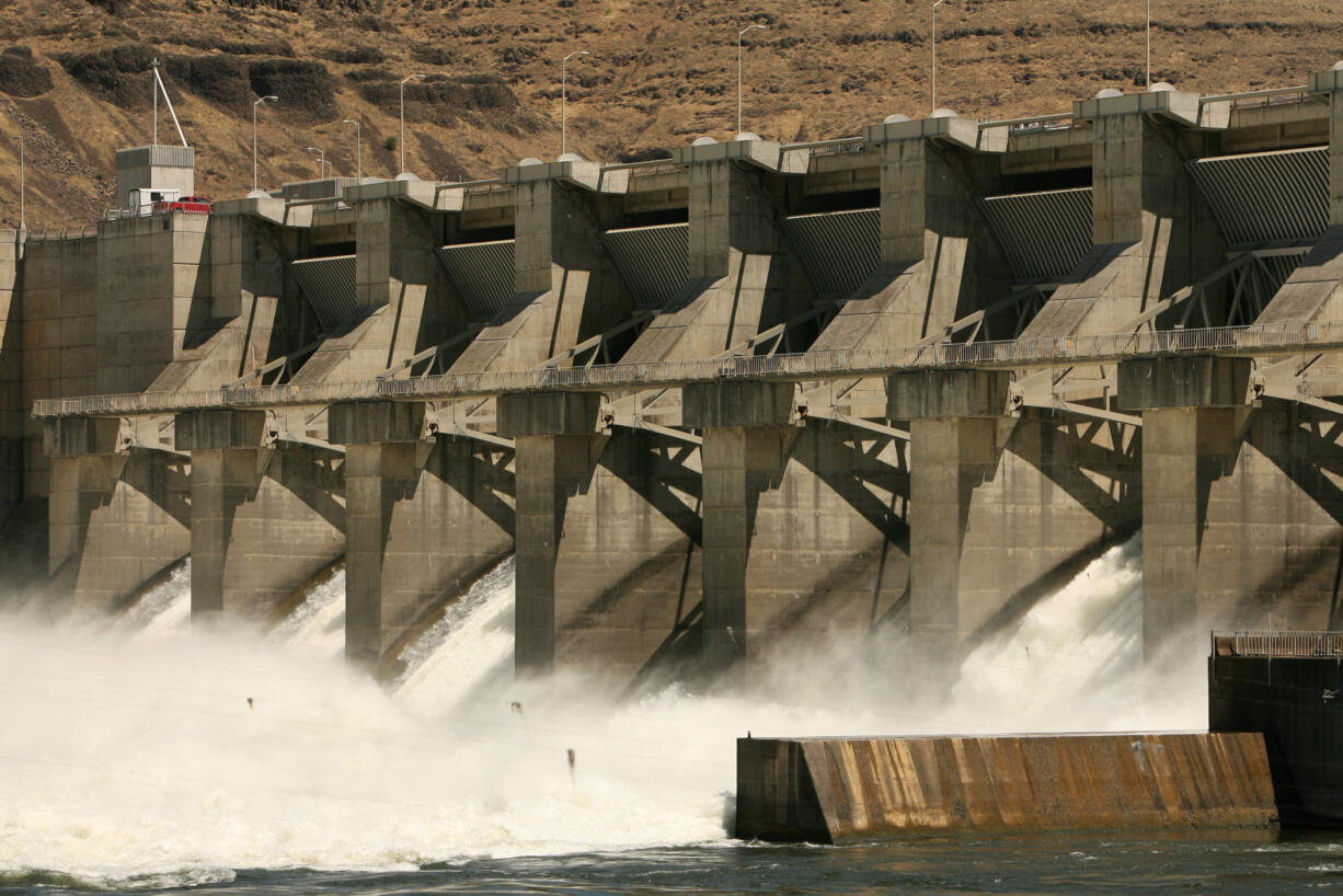 The Lower Granite Dam on the Snake River near Pomeroy  (The Idaho Statesman, Joe Jaszewski)